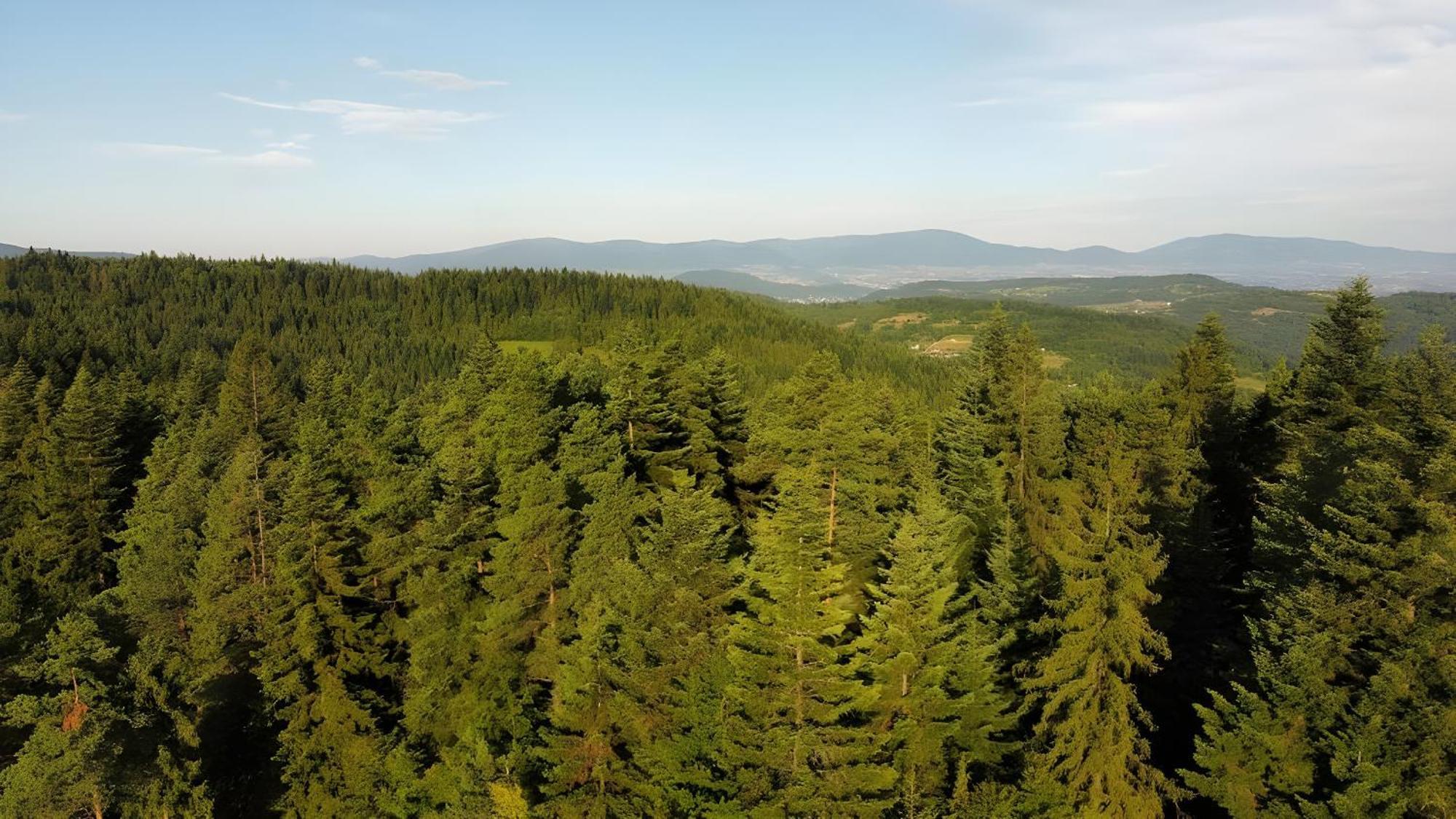 Przystanek Madejowa Villa Jeleśnia Exteriör bild