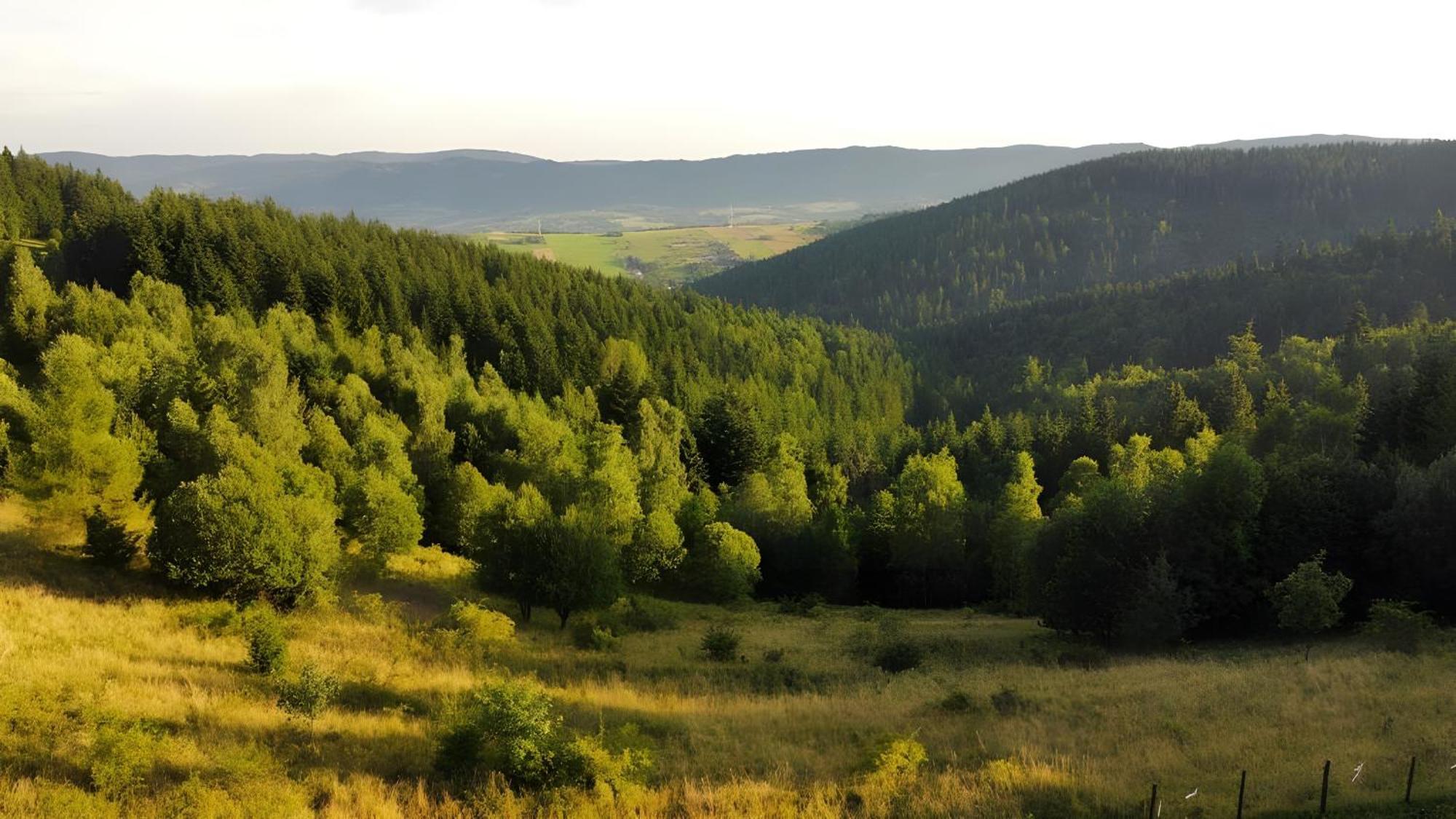 Przystanek Madejowa Villa Jeleśnia Exteriör bild